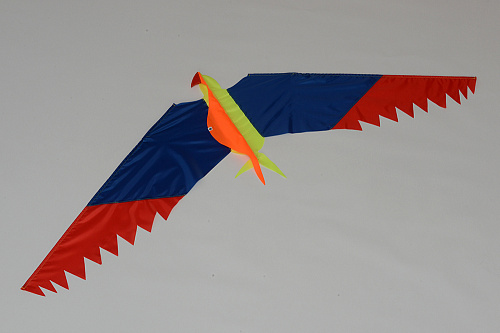 Попугай.  �2