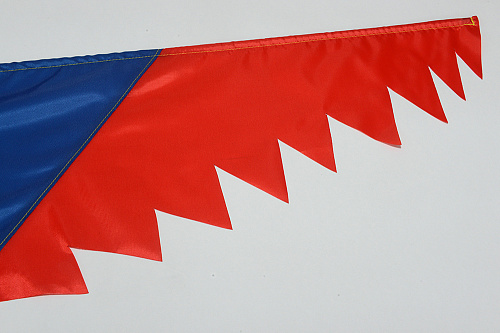 Попугай.  �11