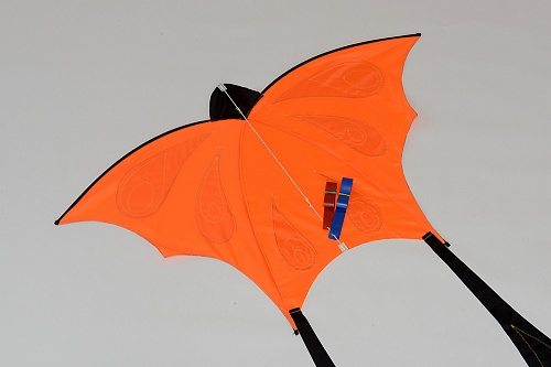 Бабочка.  �6