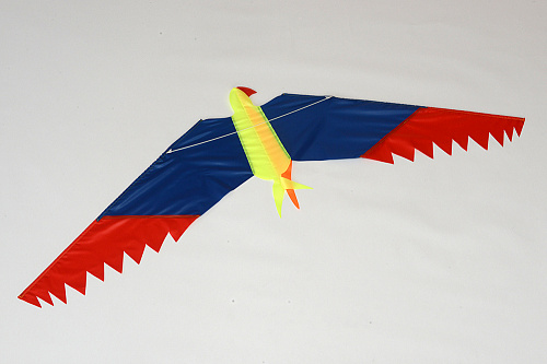 Попугай.  �6