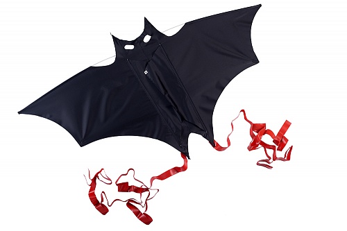 Летучая мышь.  �2