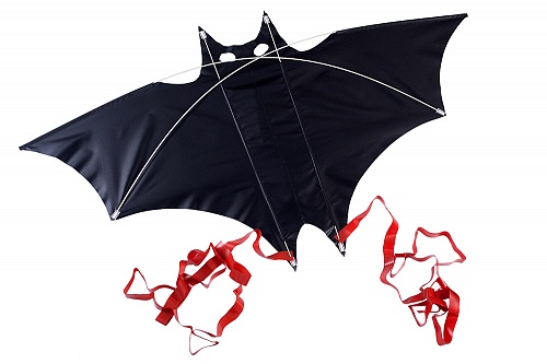 Летучая мышь.  �3