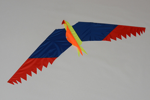 Попугай.  �4